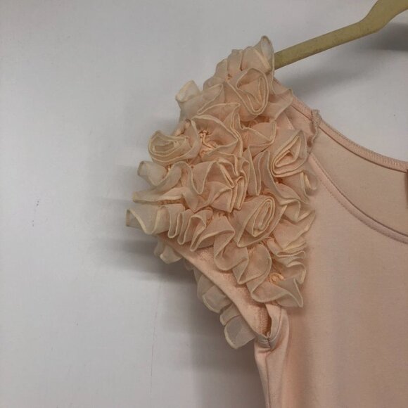 H&M NWT paste pink The Garden Collection bodycon mini dress puffy floral sleeves - Picture 11 of 15